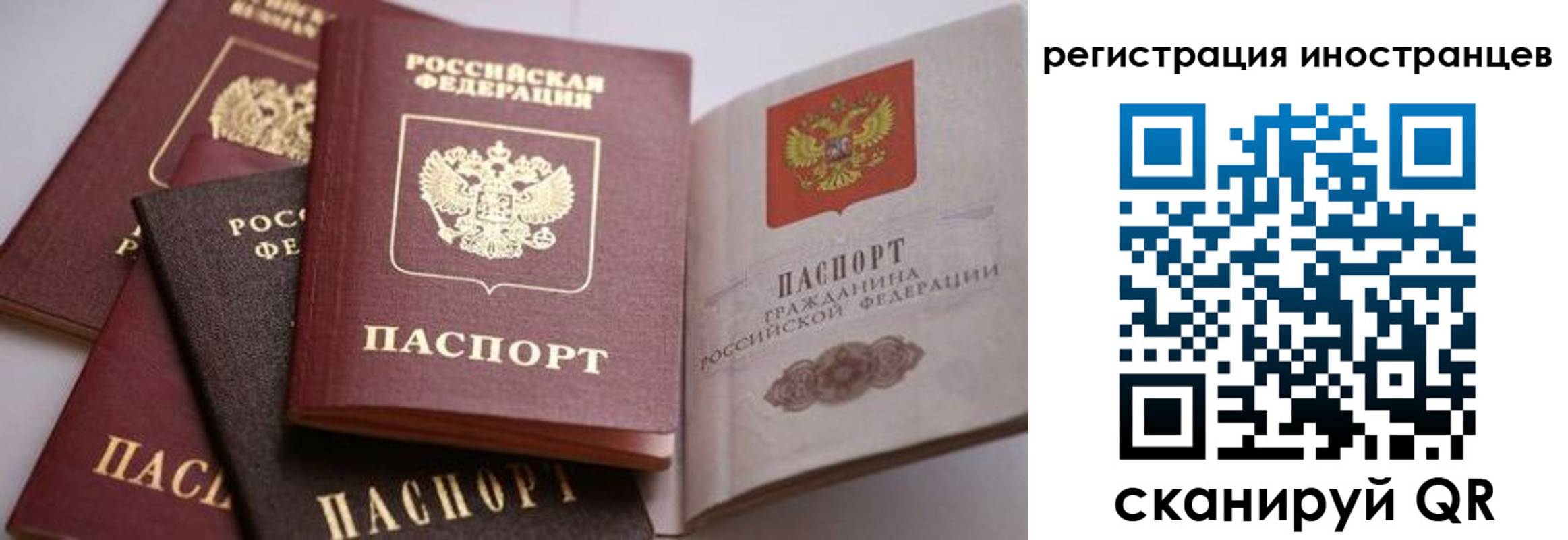 прописка штамп в Балее