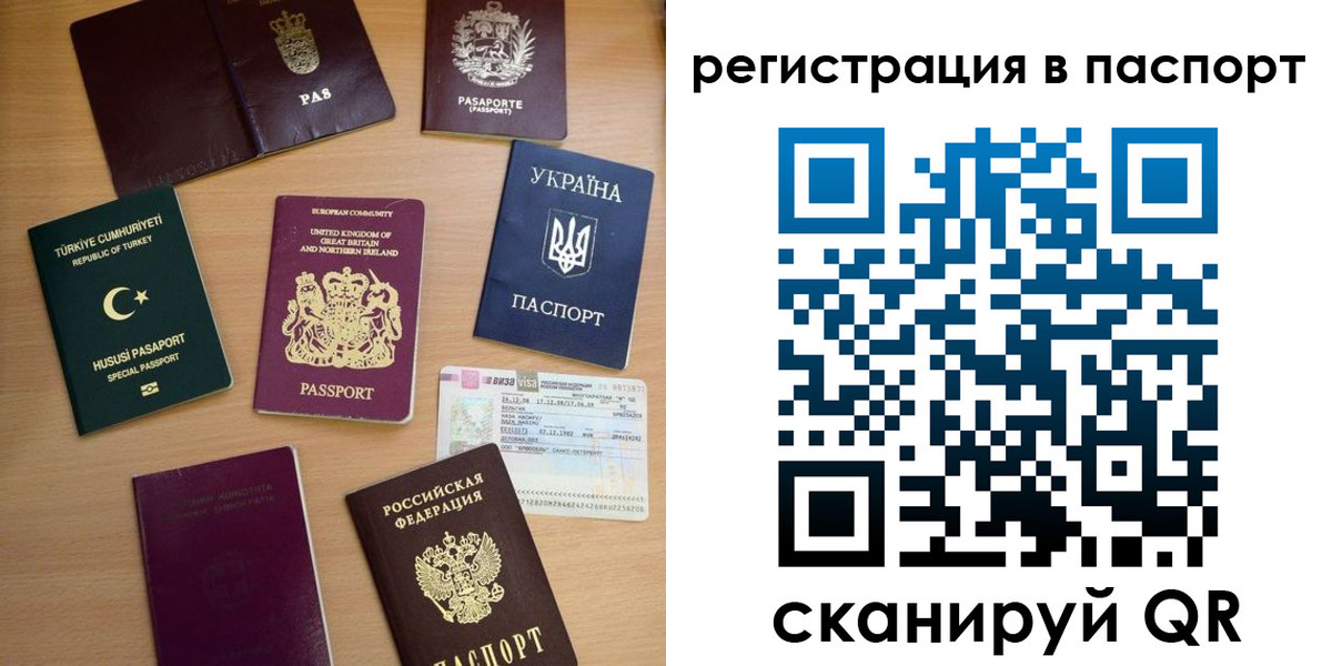 прописка поиск в Балее